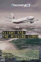 Flight 370: The Missing Links (2014) Poster