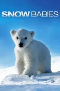 Snow Babies Poster
