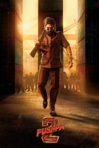 Pushpa: The Rule – Part 2 (2024) Poster